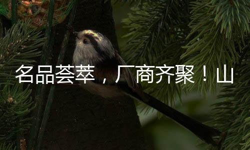 名品薈萃，廠商齊聚！山東多樂多在南京糖酒會上期待與您攜手共贏！