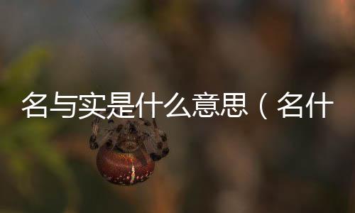 名與實(shí)是什么意思（名什么實(shí)什么）