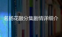 名揚花鼓分集劇情詳細介紹11