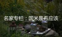 名家專欄：國米是否應該引進特維斯
