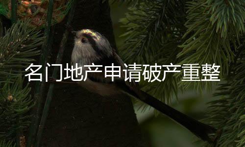名門地產申請破產重整
