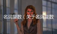 名詞復數（關于名詞復數的基本情況說明介紹）