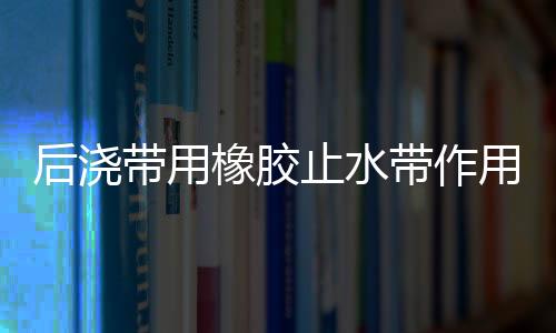 后澆帶用橡膠止水帶作用與原理
