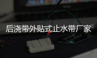 后澆帶外貼式止水帶廠家/老廠/大公司