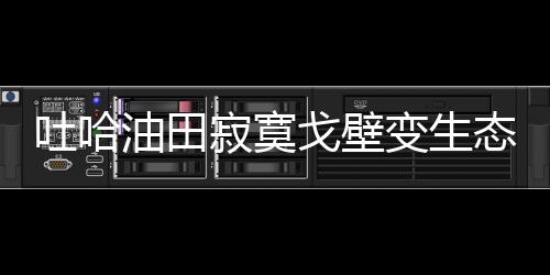 吐哈油田寂寞戈壁變生態(tài)綠洲