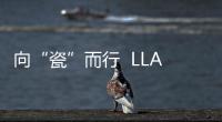 向“瓷”而行  LLADRó 雅致品牌首次亮相設計深圳展