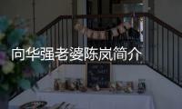 向華強老婆陳嵐簡介    向華強的出現是對陳嵐的救贖