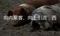 向內聚客、向上引流，西安商業的“屋頂大秀”也太好看了