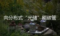 向分布式“光儲”能碳管理要效益！