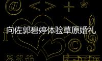 向佐郭碧婷體驗草原婚禮 兩人深情告白擁吻畫面超甜