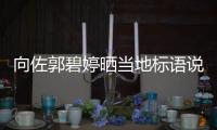 向佐郭碧婷曬當地標語說了什么？日本度假為何讓網友感動？