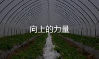 向上的力量