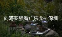 向海圖強看廣東③：深圳港的貨船與郵輪｜強信心 穩預期 促發展