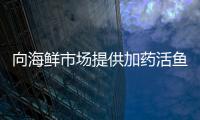 向海鮮市場提供加藥活魚，兄弟倆被警方依法刑拘