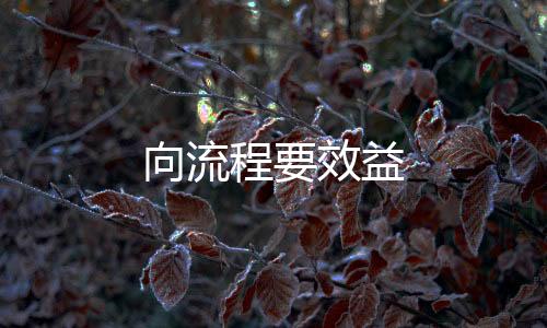 向流程要效益