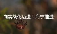 向實戰化邁進！海寧推進人防建設高質量發展