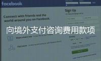 向境外支付咨詢費用款項怎么計算稅款