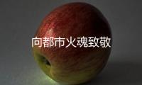 向都市火魂致敬