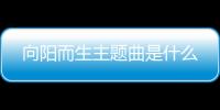 向陽而生主題曲是什么