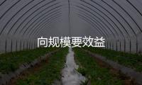 向規模要效益