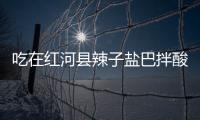 吃在紅河縣辣子鹽巴拌酸果，這是紅河人夏天的味道