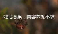 吃地念果，美容養顏不求人！