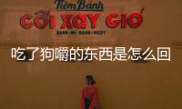 吃了狗嚼的東西是怎么回事啊(吃了狗吃的東西)