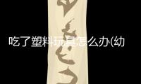 吃了塑料玩具怎么辦(幼犬吃了塑料玩具怎么辦)