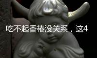 吃不起香椿沒關系，這4種春季的野菜，便宜又美味