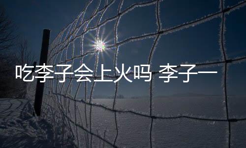 吃李子會上火嗎 李子一天什么時間吃最好