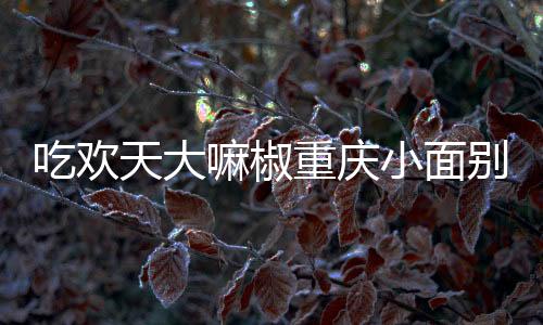 吃歡天大嘛椒重慶小面別具匠心，讓你隨時(shí)隨地享受重慶人的情懷！