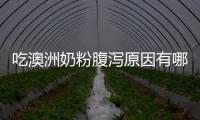 吃澳洲奶粉腹瀉原因有哪些