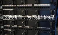 吃完豬血，為何排出的是黑便？豬血鴨血那些事，可能你并不太懂