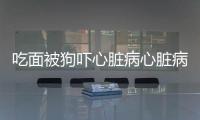吃面被狗嚇心臟病心臟病人應如何護理