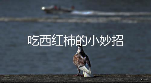 吃西紅柿的小妙招