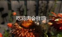 吃雞肉會(huì)胖嗎