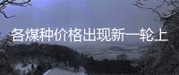 各煤種價格出現(xiàn)新一輪上漲