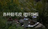 各種翻毛皮 碳纖飾板 新思域Type R內(nèi)飾解讀