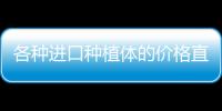 各種進口種植體的價格直降4k+,這事也就臨沂正規牙科能做到