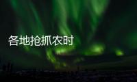 各地搶抓農時 扎實推進農業生產