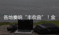 各地奏響“豐收曲”！金秋時節 處處碩果累累