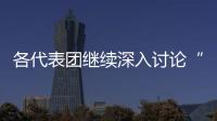 各代表團繼續深入討論“兩委”報告