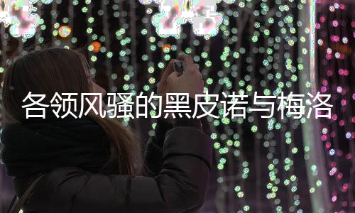 各領風騷的黑皮諾與梅洛