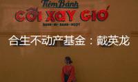 合生不動產基金：戴英龍獲任副總裁，向羅臻毓匯報
