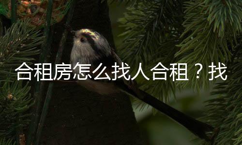 合租房怎么找人合租？找人合租要注意什么？