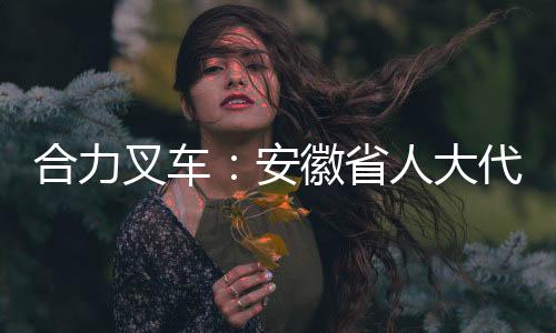 合力叉車：安徽省人大代表楊安國：加大卓越工程師培養力度