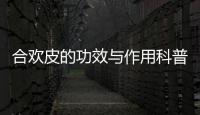 合歡皮的功效與作用科普,合歡皮的副作用科普藥效用法圖片