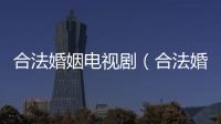 合法婚姻電視劇（合法婚姻）