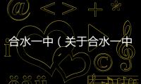 合水一中（關于合水一中的基本情況說明介紹）