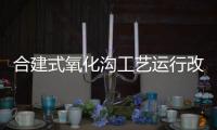 合建式氧化溝工藝運行改進方法探討